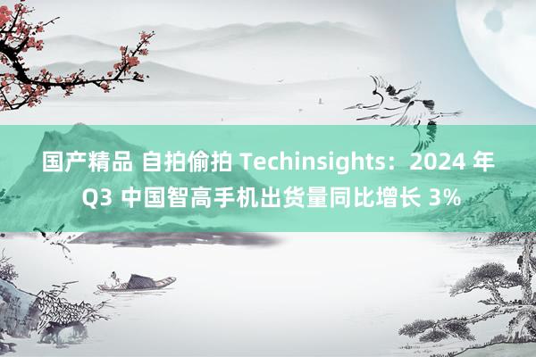 国产精品 自拍偷拍 Techinsights：2024 年 Q3 中国智高手机出货量同比增长 3%