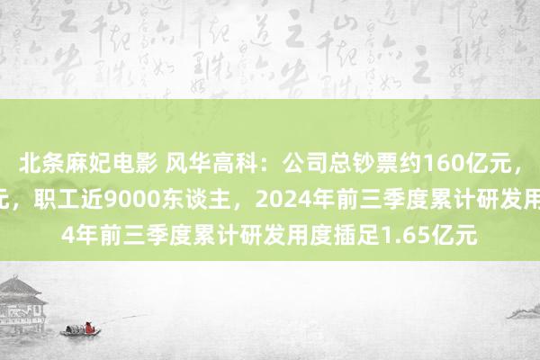 北条麻妃电影 风华高科：公司总钞票约160亿元，净钞票约120亿元，职工近9000东谈主，2024年前三季度累计研发用度插足1.65亿元