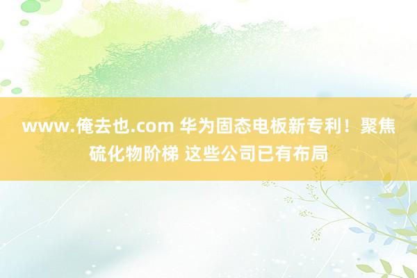 www.俺去也.com 华为固态电板新专利！聚焦硫化物阶梯 这些公司已有布局