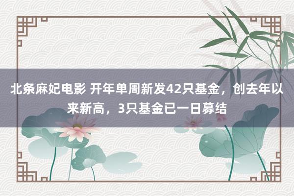 北条麻妃电影 开年单周新发42只基金，创去年以来新高，3只基金已一日募结