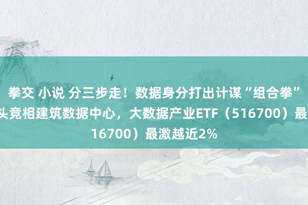 拳交 小说 分三步走！数据身分打出计谋“组合拳”！科技巨头竞相建筑数据中心，大数据产业ETF（516700）最激越近2%