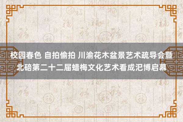 校园春色 自拍偷拍 川渝花木盆景艺术疏导会暨北碚第二十二届蜡梅文化艺术看成汜博启幕