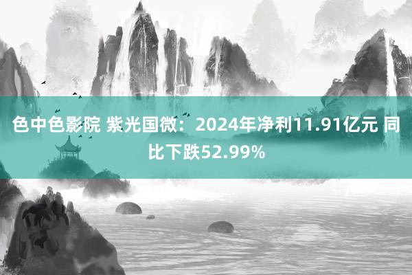 色中色影院 紫光国微：2024年净利11.91亿元 同比下跌52.99%