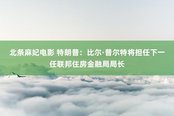 北条麻妃电影 特朗普：比尔·普尔特将担任下一任联邦住房金融局局长