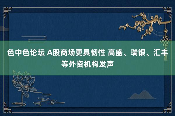 色中色论坛 A股商场更具韧性 高盛、瑞银、汇丰等外资机构发声