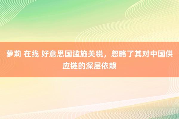萝莉 在线 好意思国滥施关税，忽略了其对中国供应链的深层依赖